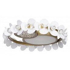Накладной светильник loft it bride ...